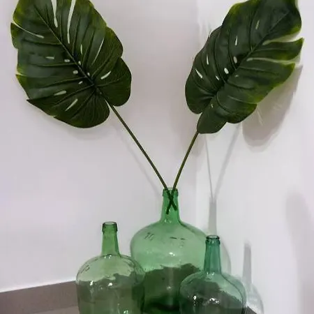 아파트 Barullo House 라스팔마스