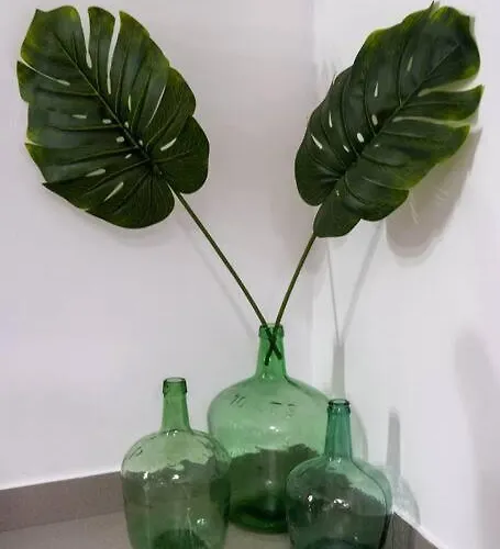 Apartment Barullo House Las Palmas / Gran Canaria